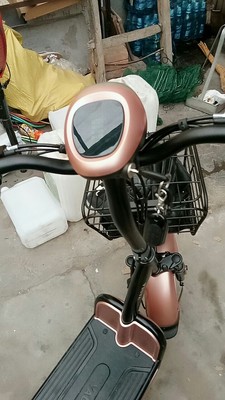 详解凤凰电动车好还是正步电动车好?配置参考区别是？?