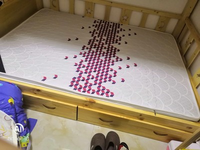 【真相揭秘】SW棕垫怎么样？分析下耐不耐用？