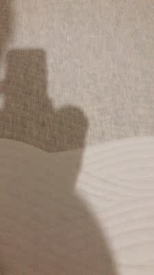 目前看来埃迪蒙托是高端品牌吗，榻榻米床垫怎么样？质量好吗？