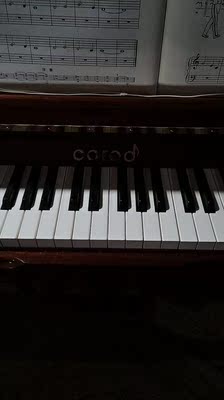 使用半年爆料卡瓦依电钢琴ES108怎么样？买台给孩子用的！