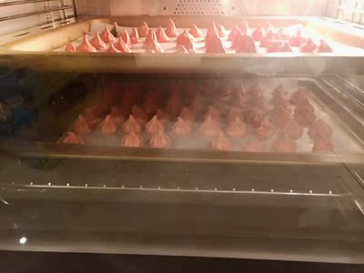 老师傅点评:惠而浦305T蒸烤箱怎么样?用户反馈很差?