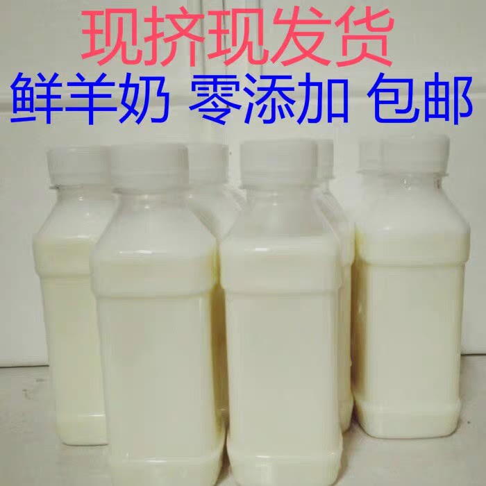 新鲜羊奶现挤孕妇新鲜羊奶现挤羊奶纯羊奶鲜羊奶500ml5件