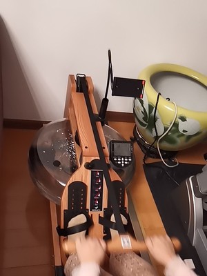 用后三个月感受美力德A10水阻划船机质量怎么样?好不好用?