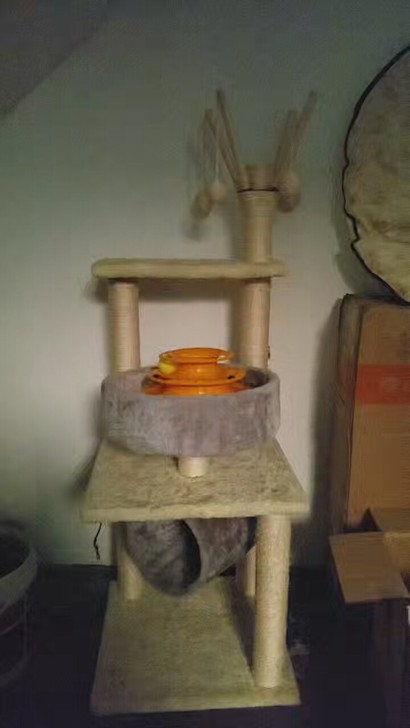 猫爬架送宠物湿巾玩具