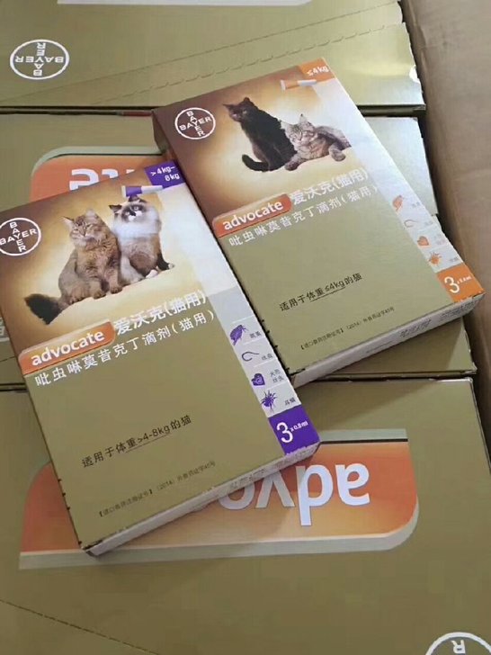 【不刮码】德国拜耳爱沃克猫犬用体外驱虫滴剂1ml8kg幼猫成