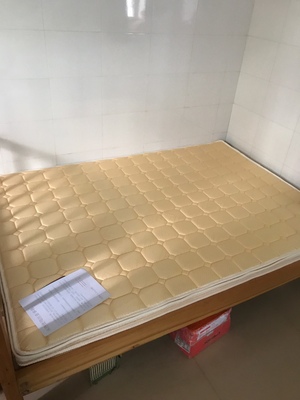 谁了解sessile儿童天然乳胶3e椰棕怎么样?真的是天然的吗?