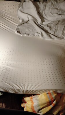 真实使用感受晚安床垫和喜临门哪个好,质量怎么样?哪款更有档次?