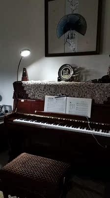 孩子初学用相思鸟电钢琴怎么样？音质音色好吗？