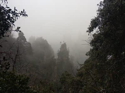 荣耀智慧屏买哪个版本比较好呢，大家推荐一个好的！