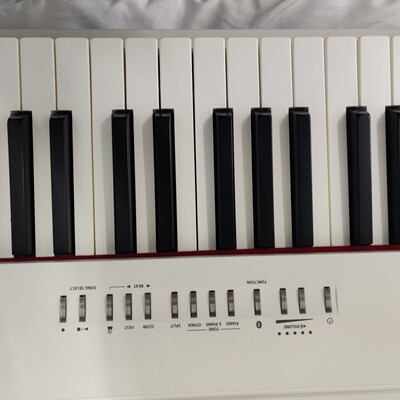 求助曝光真相roland罗兰电钢琴fp10怎么样?三个月亲身体验感受