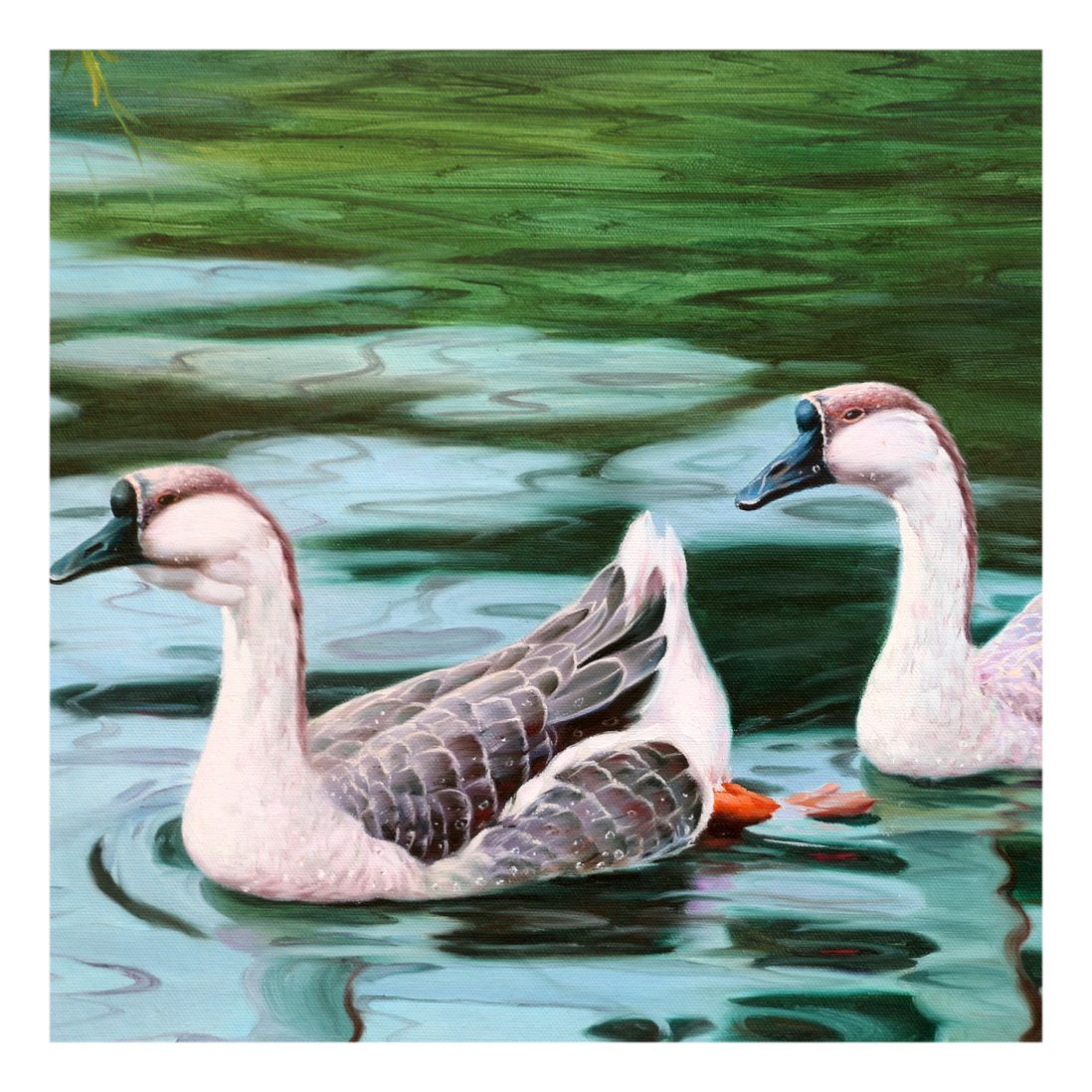 朝鲜画拍卖 餐厅装饰画 视频看货 金赫《鹅趣》白虎美术创作社