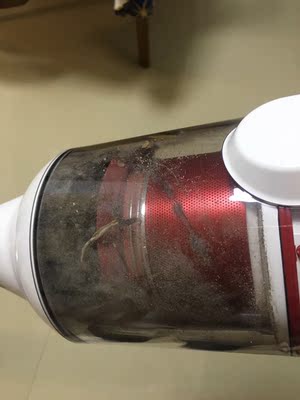 好多人用的日本正负零吸尘器哪里有卖?最近种草了,能买吗?