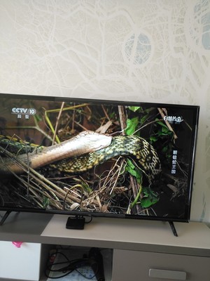 荣耀智慧屏与小米电视5对比,到底值不值入手?