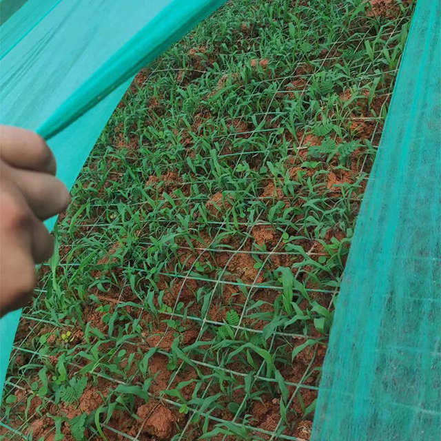 园林绿化无纺布建筑工地防尘坡护坡植草籽覆盖膜育苗无纺布绿色