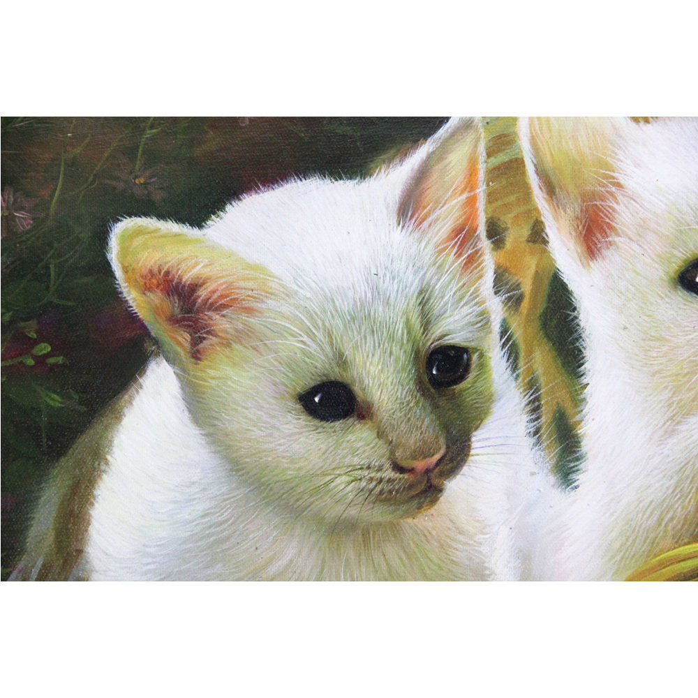 朝鲜一级艺术家 崔光《猫》动物油画装饰收藏c2589