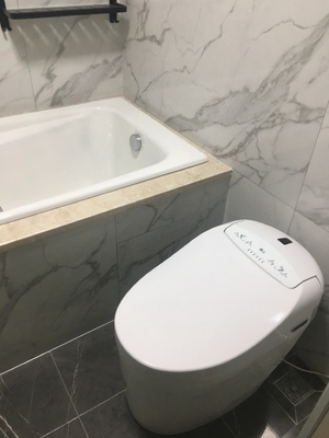 真实使用感受海尔的智能马桶怎么样,大品牌的会比较好用吗?【说说】