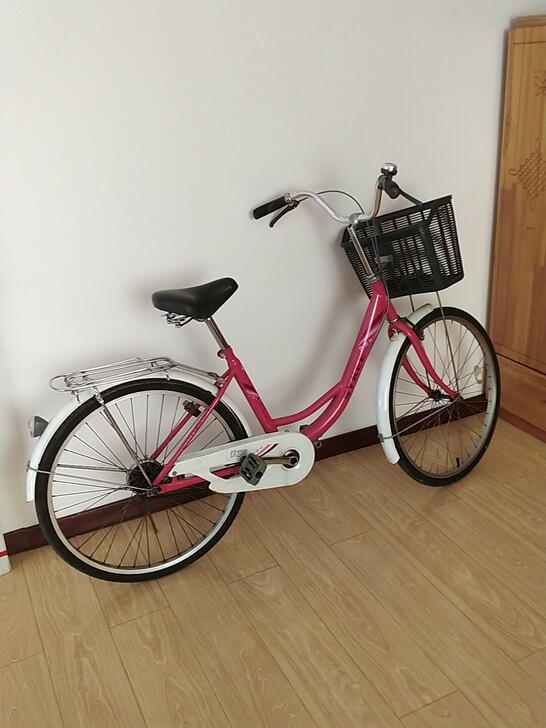 丹东赛克自行车,同城自取._丹东其他交通工具-分类265网