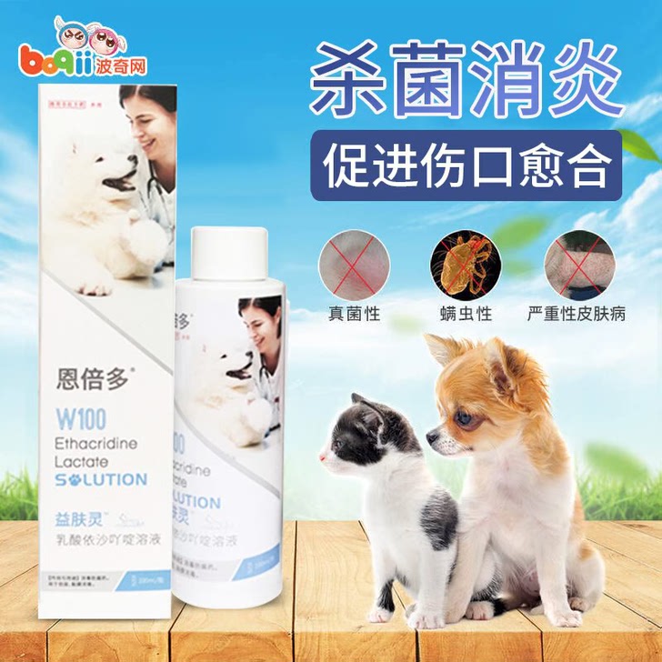 波奇网恩倍多宜喷宁W100犬猫皮肤病通用喷雾100ml猫咪用