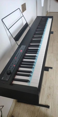 korg科音d1紧凑型便携数码电钢琴好不好?新手必看内情