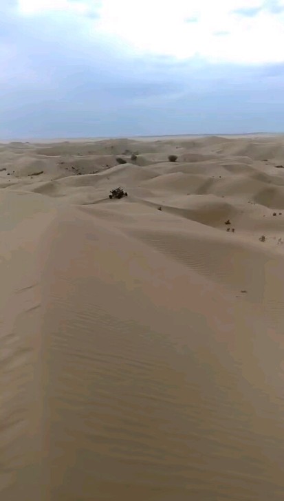 沙漠全地形四驱utv越野车