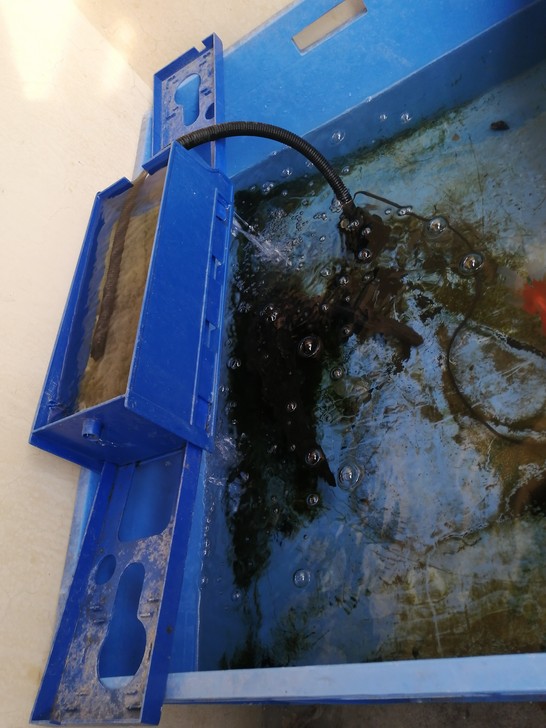 鱼缸，水产箱，龟缸，塑料箱。潍坊自提。可以养龟养鱼养水草。8