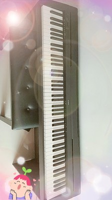 老师评测一下美得理电钢琴怎么样?使用三个月后悔了内幕?