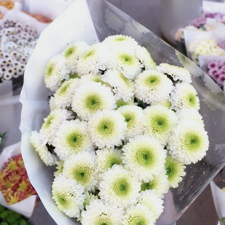 科隆香水小雏菊1把10支左右,普通地区满3个订单起包邮