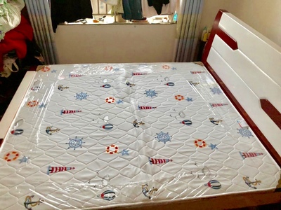 【真相揭秘】SW棕垫怎么样？分析下耐不耐用？