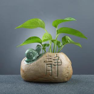 创意绿萝水培小花瓶水养植物容器花盆家居装饰品桌面摆件插花器皿