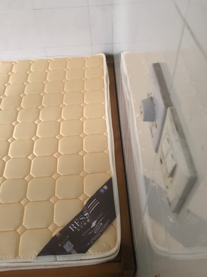 谁了解sessile儿童天然乳胶3e椰棕怎么样?真的是天然的吗?