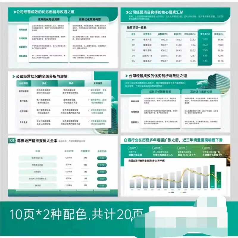 20页专业工作汇报表格分析表格数据分析PPT模版，2种配色|