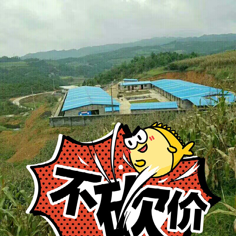 大型厂区出售