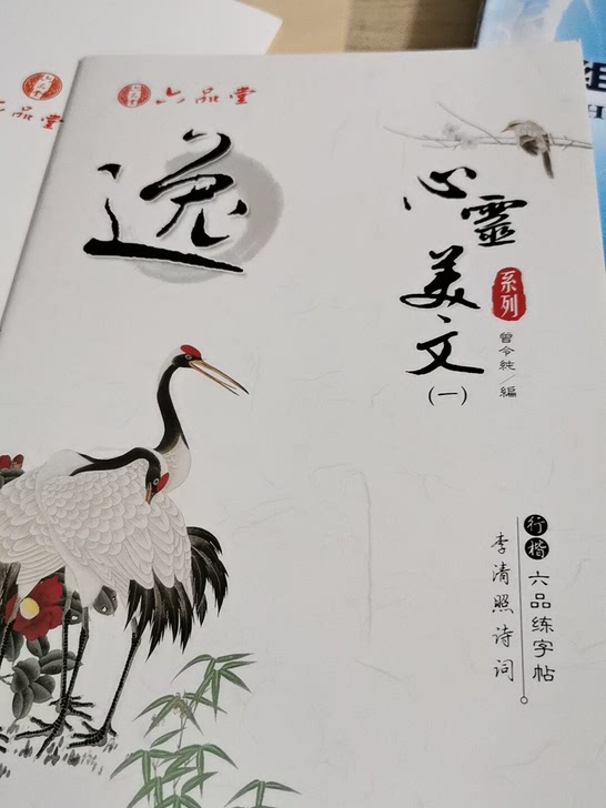 已完成/全新字帖有全新的有描完的，二十页左右，有没有现货不一