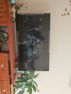 荣耀智慧屏和荣耀智慧屏pro区别，评测区别是？