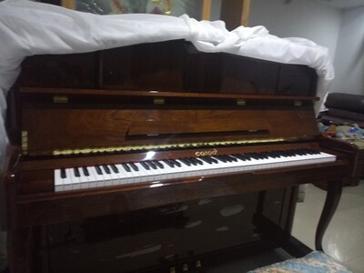 用心点评TheONE智能钢琴怎么样？一个月亲身使用感受