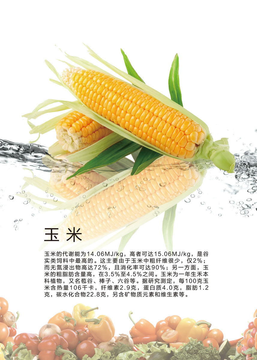 海报印制定制展板素材食堂文化玉米设计写真