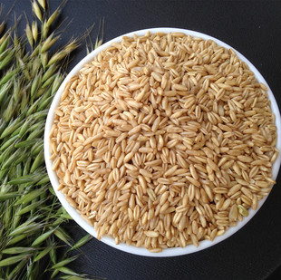 粗粮500g满3斤 雀麦 野麦 燕麦粒 包邮 燕麦仁 优质燕麦米