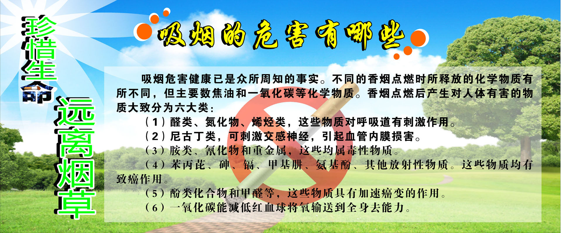 吸烟的危害展板