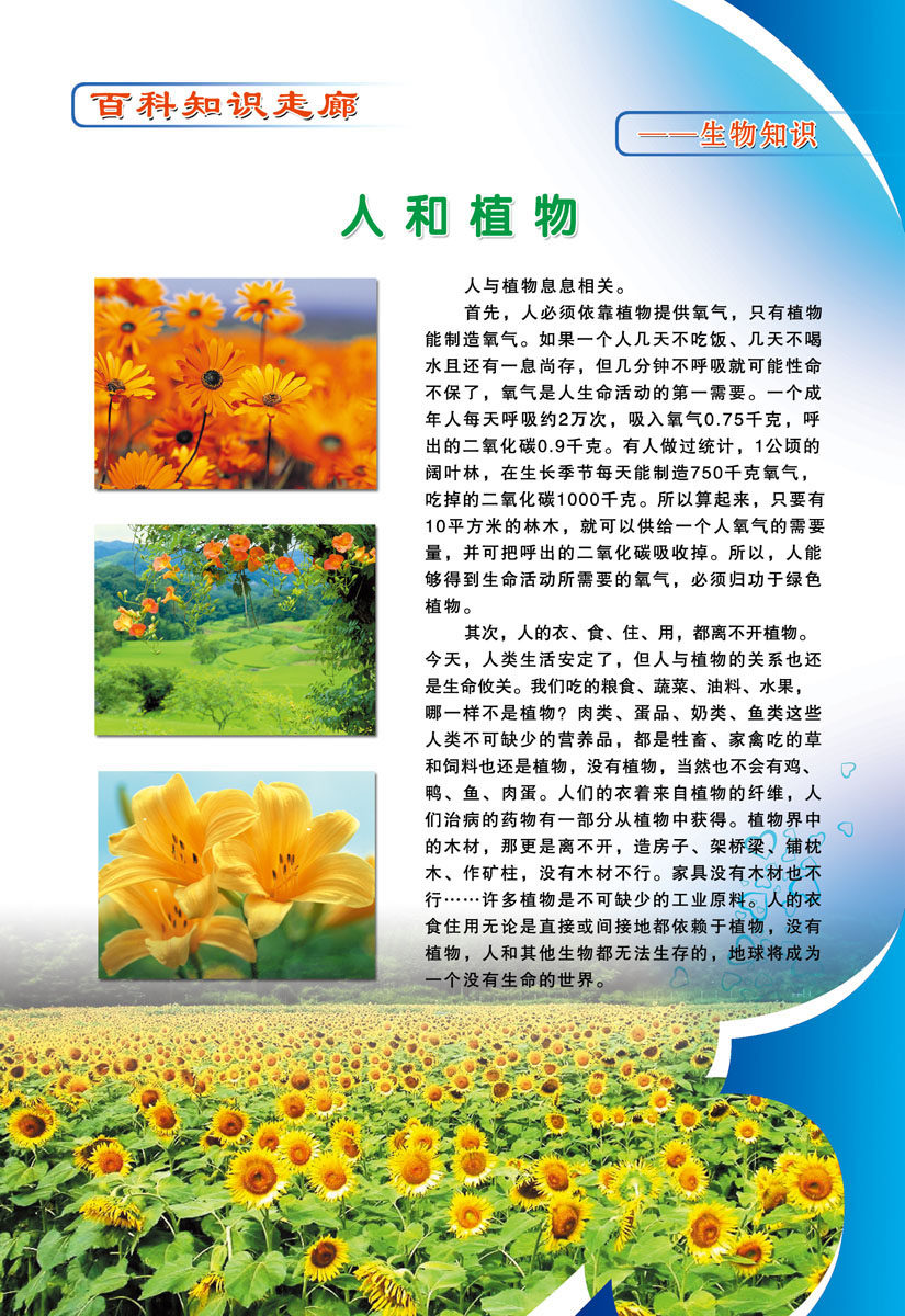海报印制设计展板素材学校百科知识走廊生物知识写真