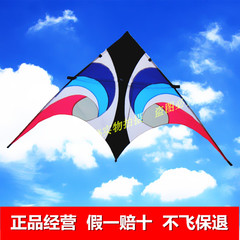 包邮潍坊天眼风筝 超大中型大三角伞布风筝 微风易飞 特价保飞