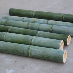 【老楠竹筒图片】老楠竹筒图片大全_q友网