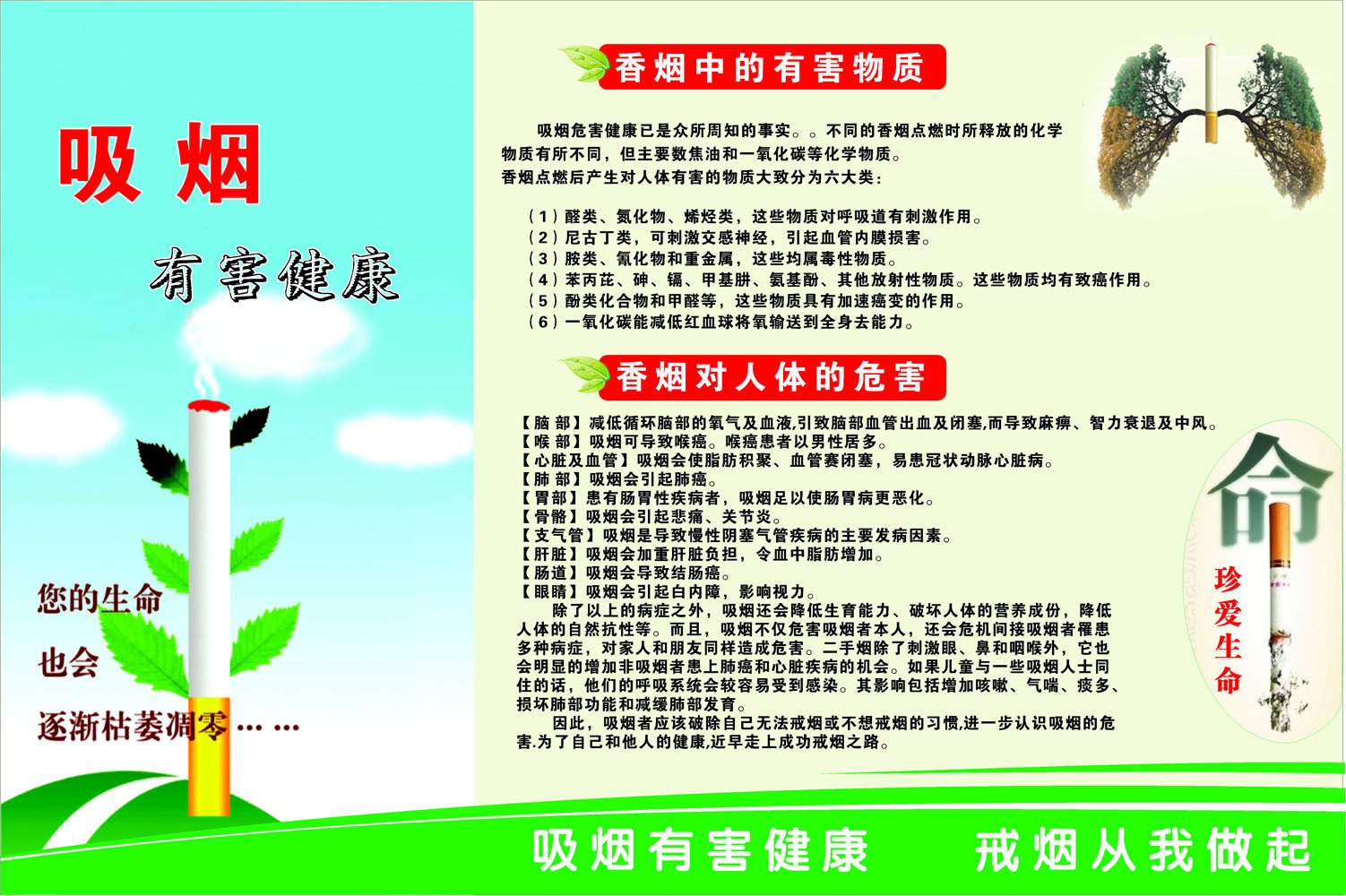 吸烟的危害展板