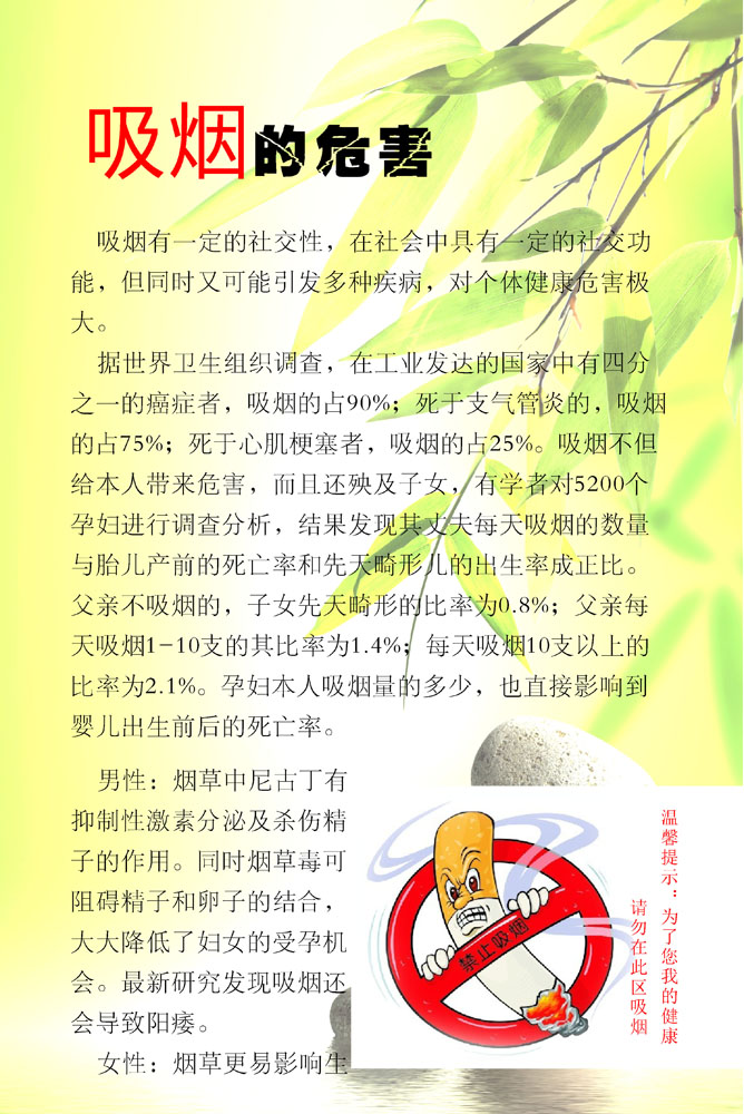 吸烟的危害展板