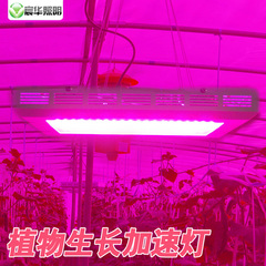 LED植物生长灯具120W农场园艺生长花草补光灯2013热卖 植物补光灯