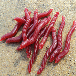 5cm仿真红色蚯蚓/路亚饵30支装红虫 路亚软饵 可钓鲫鲤草