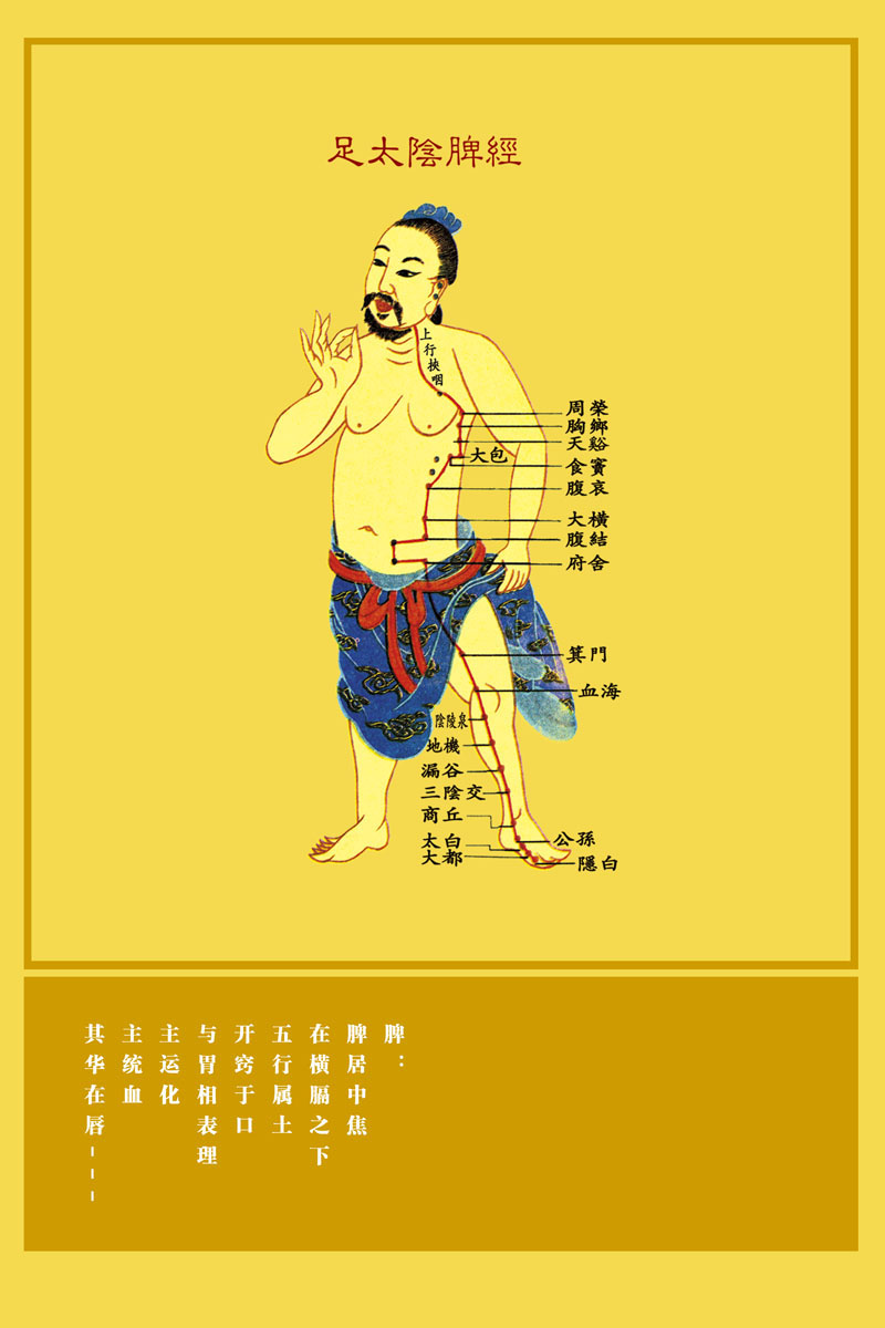 海报印制展板素材中医精油针灸太阴写真