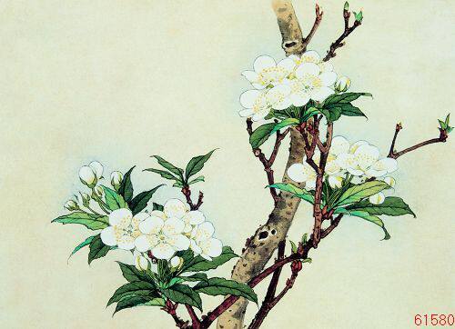 苏绣刺绣手工礼品高档画心diy梨花白梨花初学苏绣