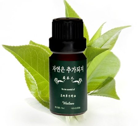 茶树精油香薰灯炉加湿器香薰机去味甲醛香薰香料