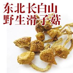 东北土特产野生滑子菇 珍珠蘑 滑子蘑 大兴安岭蘑菇干货 特价250g