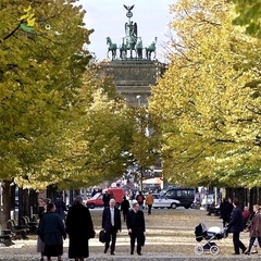 欧洲旅游/德国柏林经典游 查理检查站 勃兰登堡门 菩提树下大街